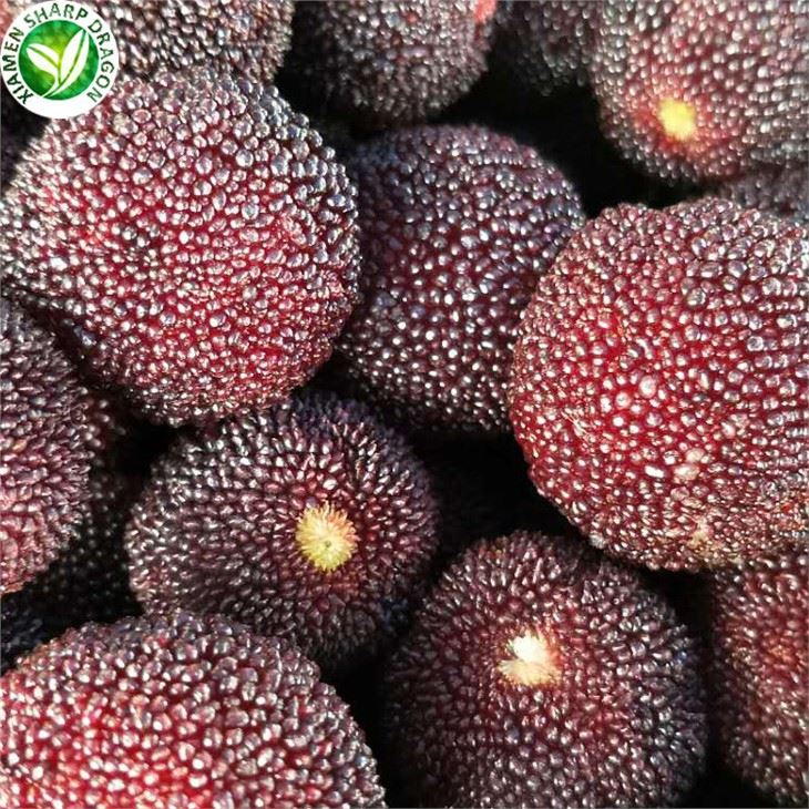 Uppfriskande frysta Bayberry Delights
