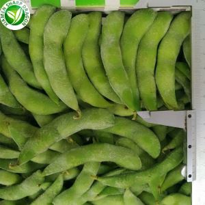 Frozen Podded Edamame