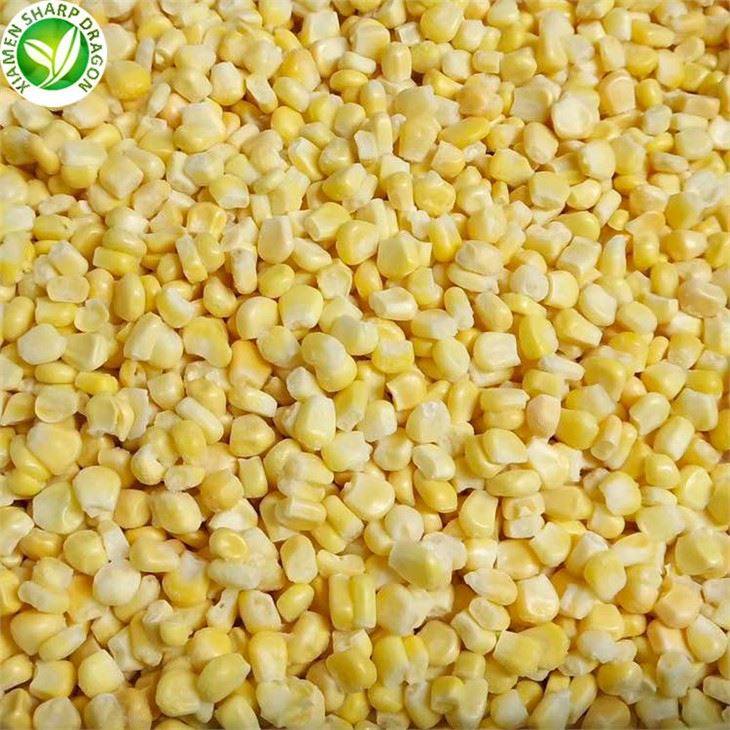 Yellow Corn Price Today